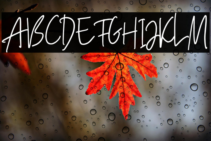 Camilla DEMO Example 2