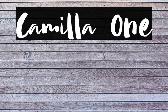 Camilla One Example 1