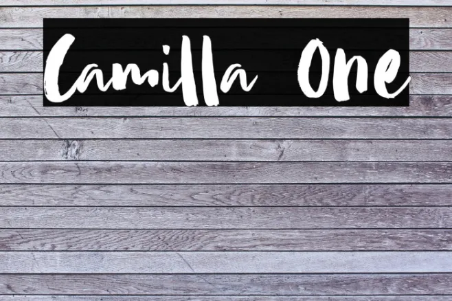 Camilla One Example 1