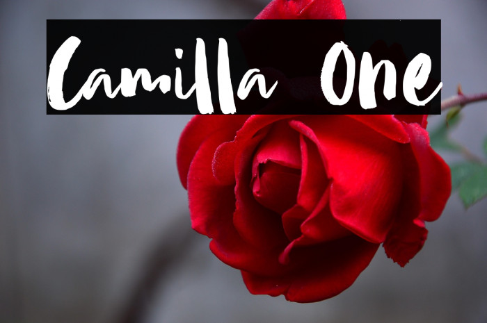 Camilla One Example 2