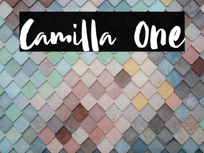 Camilla One Example 3