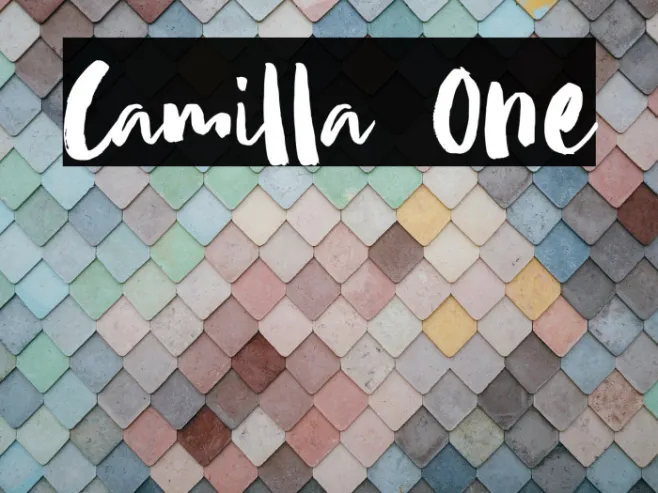 Camilla One Example 3