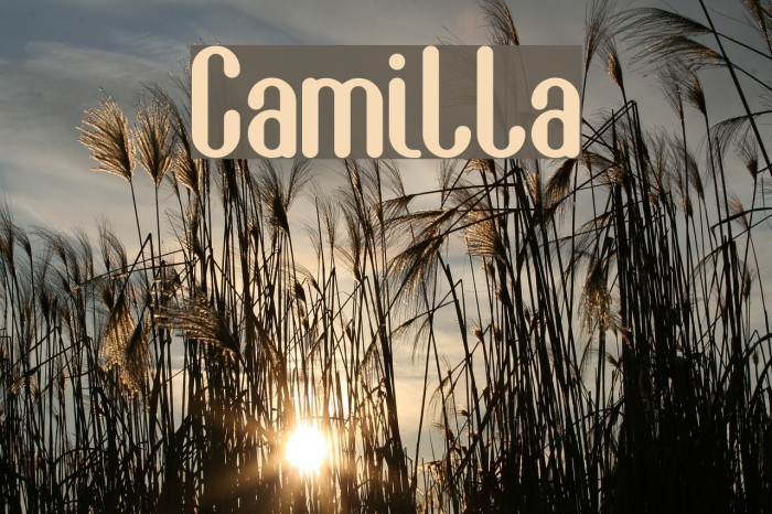 Camilla Font examples