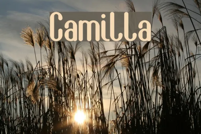 Camilla Example 1