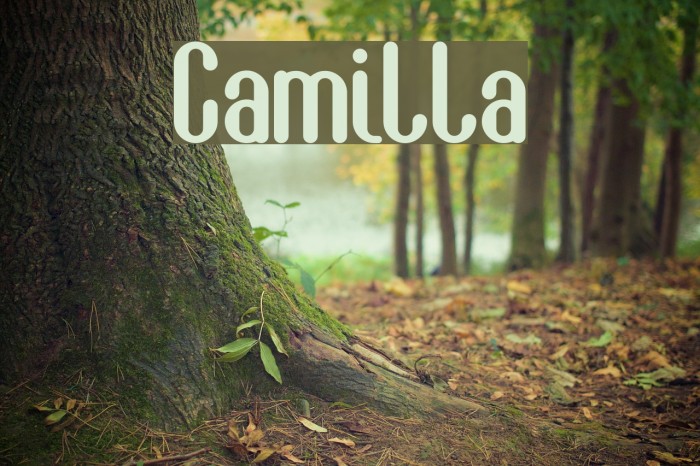 Camilla Font examples