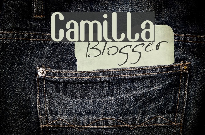 Camilla Font examples