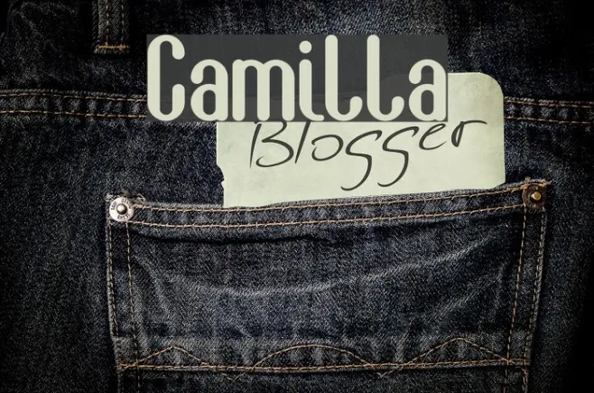Camilla Example 3