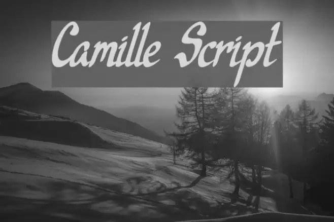 Camille Script Font examples