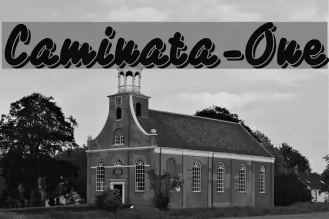 Caminata-One Polices examples