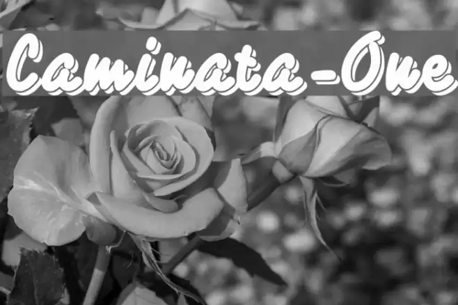 Caminata-One Polices examples