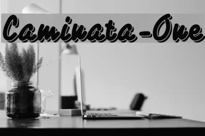 Caminata-One Polices examples