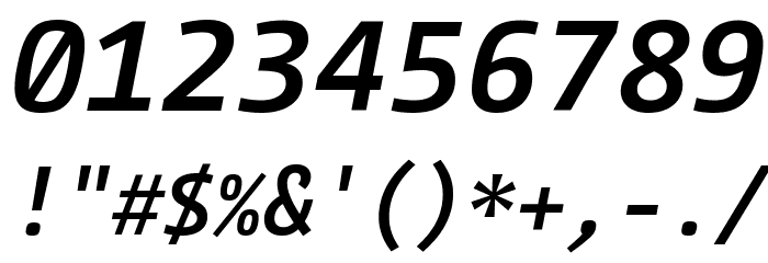 CamingoCode Bold Italic Font OTHER CHARS