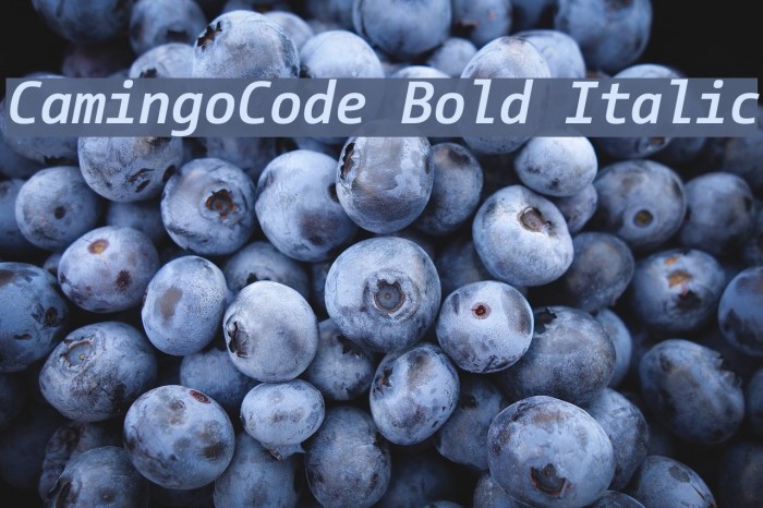 CamingoCode Bold Italic Font examples