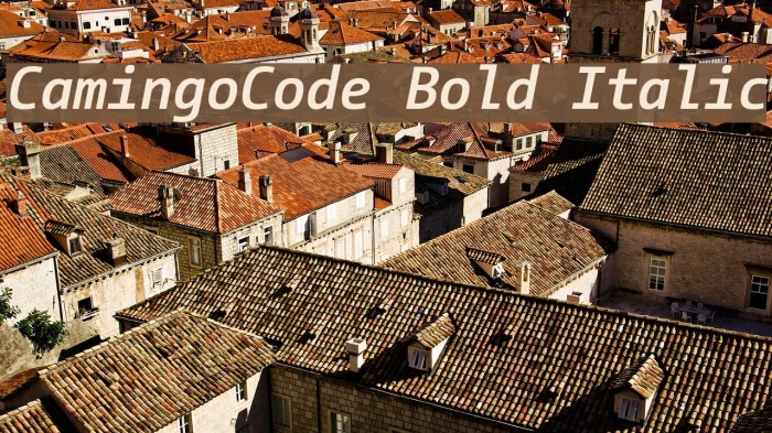 CamingoCode Bold Italic Font examples