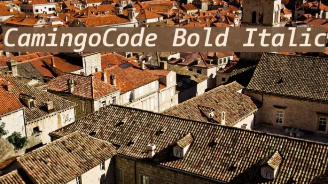 CamingoCode Bold Italic Example 2