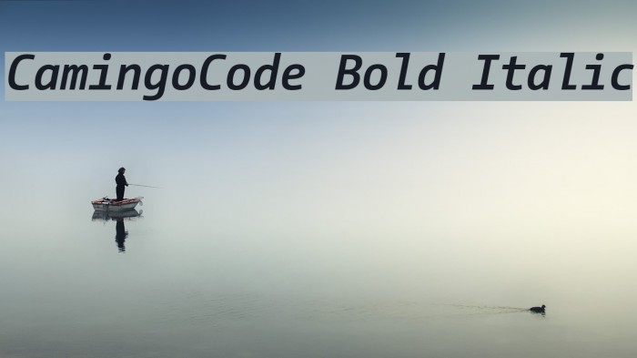 CamingoCode Bold Italic Font examples