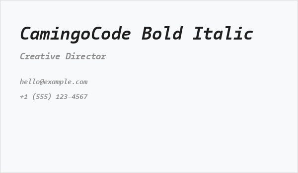 CamingoCode Bold Italic Business Card