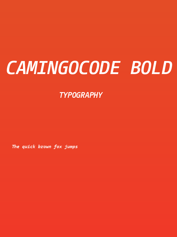 CamingoCode Bold Italic Poster