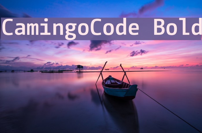 CamingoCode Bold Font examples