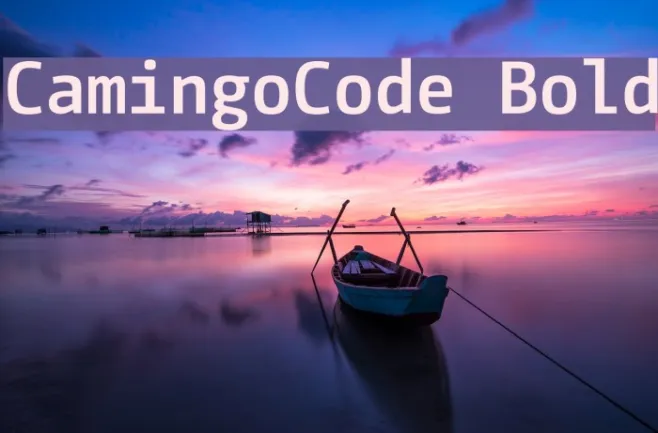 CamingoCode Bold Example 1