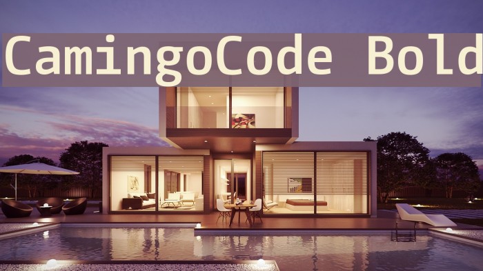 CamingoCode Bold Font examples