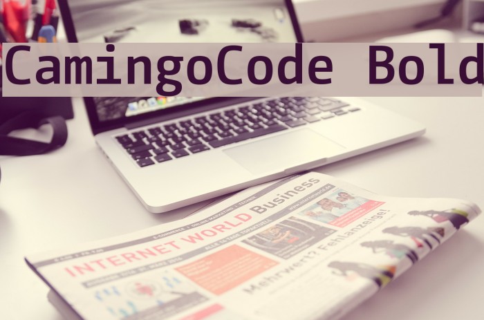 CamingoCode Bold Font examples