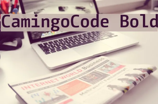CamingoCode Bold Example 3