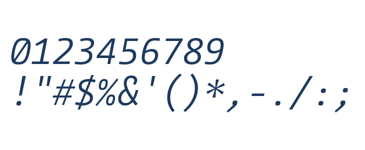 CamingoCode Italic Other Characters