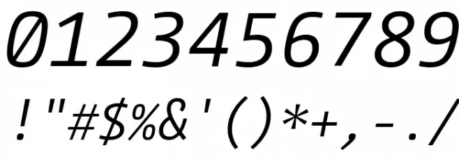 CamingoCode Italic Font OTHER CHARS