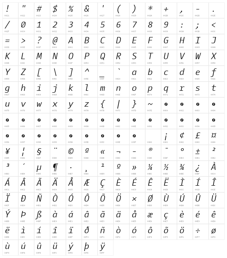 CamingoCode Italic Character Map