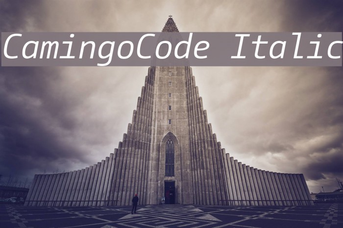 CamingoCode Italic Example 1