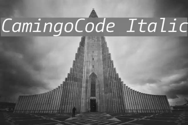 CamingoCode Italic Font examples