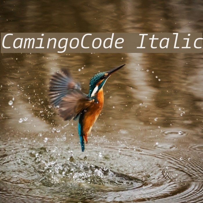 CamingoCode Italic Example 2