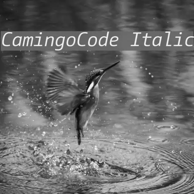 CamingoCode Italic Font examples