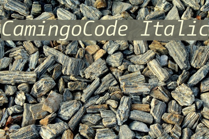 CamingoCode Italic Example 3