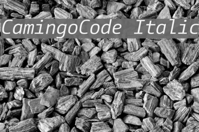 CamingoCode Italic Font examples
