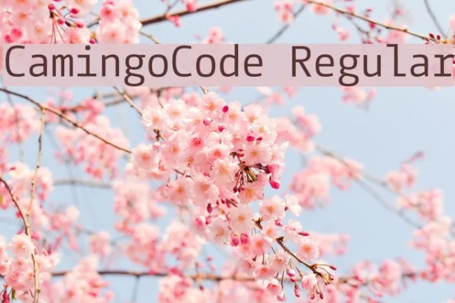 CamingoCode Regular Example 2