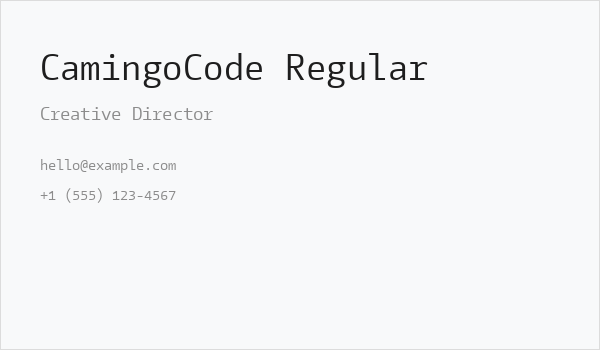 CamingoCode Regular Business Card