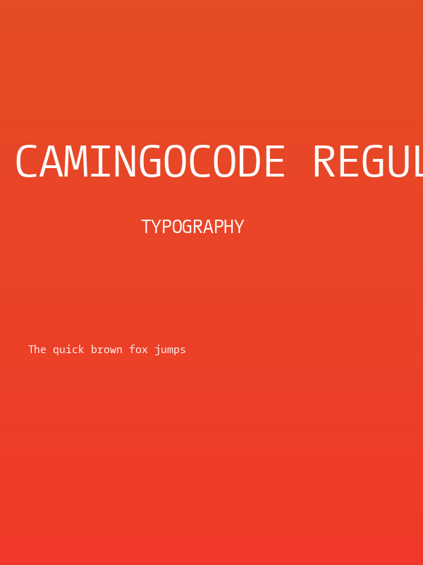 CamingoCode Regular Poster