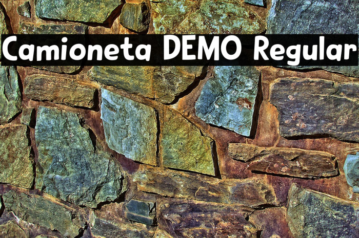 Camioneta DEMO Regular Example 2