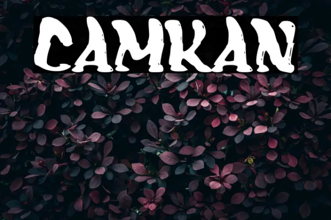Camkan Example 1