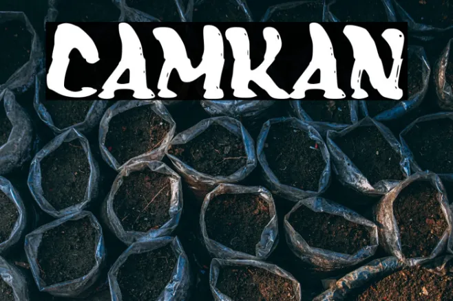 Camkan Example 3