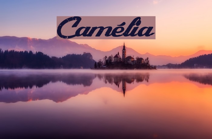 Camélia Font examples
