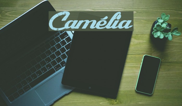 Camélia Font examples
