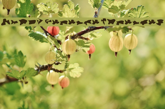 Camo3 Reverse Inverted Example 1