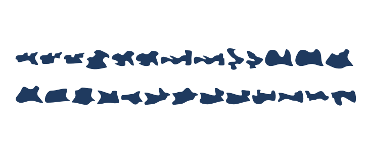 Camo3 Reverse Lowercase