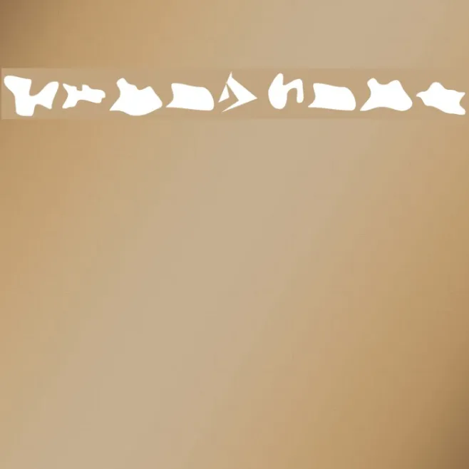 Camo3 Example 3