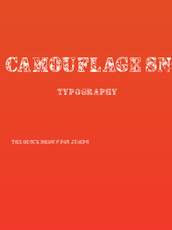 Camouflage Snow Poster