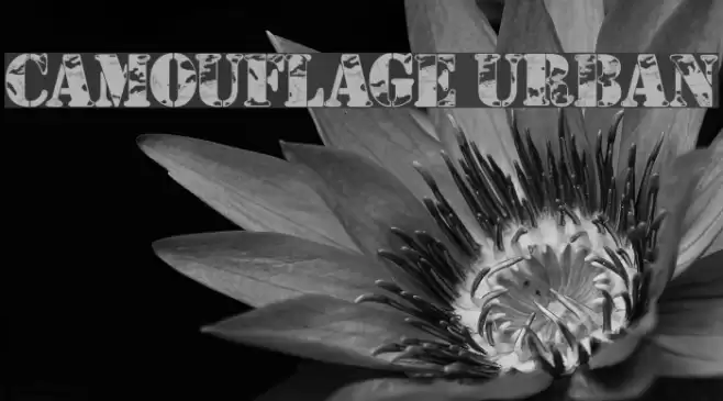 Camouflage Urban Font examples