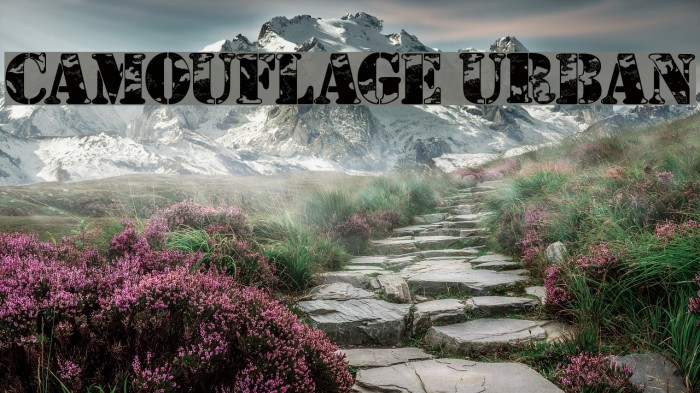 Camouflage Urban Schriftart examples